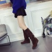 2017 Autumn and Winte Women Boots