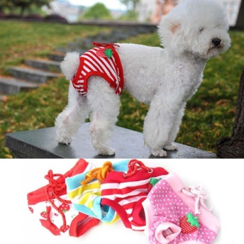 cute dog diapers
